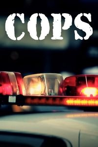 copertina serie tv Cops 1989