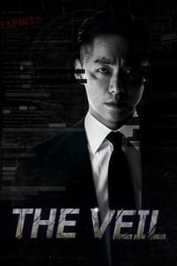 tv show poster The+Veil 2021