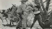 «Дробовик (1955)» — обои к фильму #2