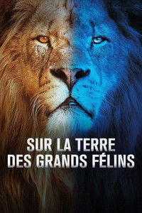 Affiche de la recommandation : Sur la terre des grands félins