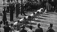 «Королева спорта (1934)» — обои к фильму #1