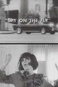 Spy on the Fly