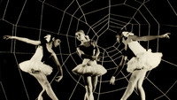 «Presença de Anita (1951)» — обои к фильму #2