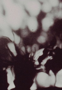 Постер фильма «The Stars Are Beautiful (1974)» — (2 из 7)