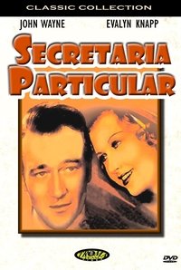 Poster de His Private Secretary