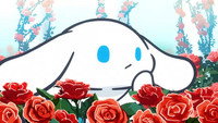 Rose Garden