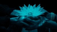 A Beautiful Spirit