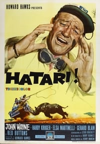 Poster de Hatari