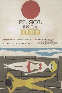 Poster de Slnko v sieti