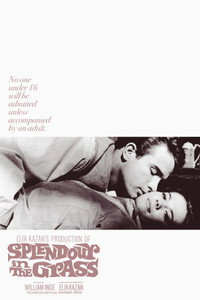 Постер фильма «Великолепие в траве (1961)» — (5 из 32)