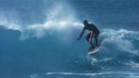 Surfing Hollow Days