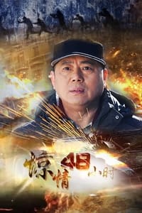 惊情48小时 (2013)