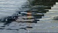 Wie pupst der Delfin?