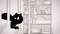 Cat-astrophic Experiments