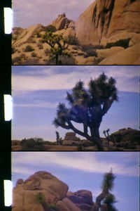 Imagem do Filme Lost Horse Valley