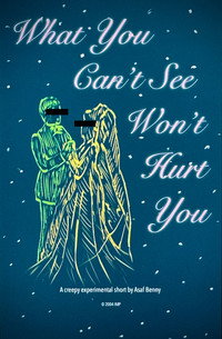 What You Can't See Won't Hurt You (2004) poster