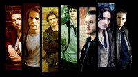 «Братья Доннелли (2007)» — обои к сериалу #2