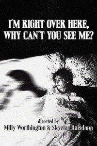 I'm Right Over Here, Why Can't You See Me?