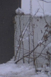 Постер фильма «Любовное письмо (1995)» — (7 из 27)