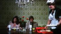 «Starlet Nights (1982)» — обои к фильму #1