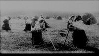 «Кино-Правда № 17 (1923)» — обои к фильму #1