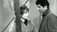 «Русая Жюли (1959)» — обои к фильму #1