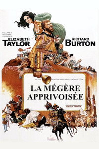 Постер фильма «Укрощение строптивой (1967)» — (9 из 27)