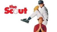The Scout