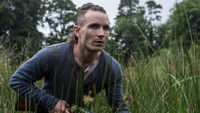 The Survivalist