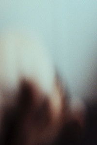 Imagem do Filme Orchid Movie