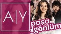 «Pasa Gönlüm (2014)» — обои к сериалу #1