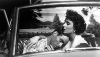 Обои к фильму «Место под солнцем (1951)» — (14 из 23)