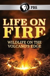 Watch Life on Fire - Season 1 123Movies