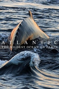 tv show poster Atlantic%3A+The+Wildest+Ocean+on+Earth 2015