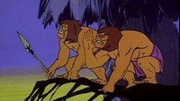 The Tree Pygmies
