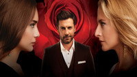 «Война роз (2014-2016)» — обои к сериалу #1