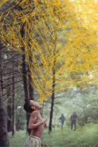 movie-images