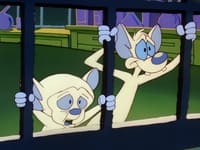 S03E11 - (1997)