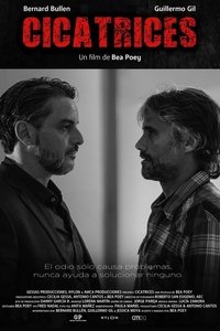 Poster de Cicatrices