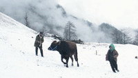 «Холода Каландара (2015)» — обои к фильму #1