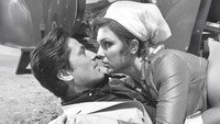 «Yakut gözlü kedi (1966)» — обои к фильму #2