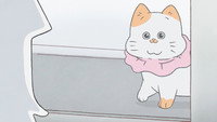 Episode 28