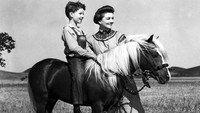 «Рыжий пони (1949)» — обои к фильму #1