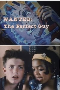 Poster de Wanted: The Perfect Guy