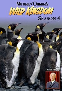 Season 4 Poster
