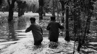 «Crne ptice (1967)» — обои к фильму #1