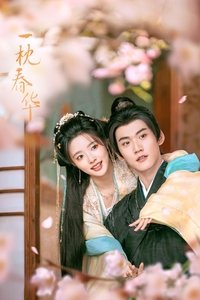 Poster de 一枕春华