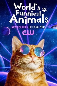 Épisodes spéciaux poster