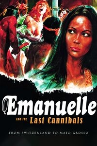 Poster do Filme From Switzerland to Mato Grosso