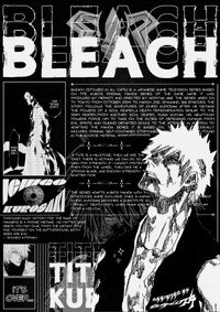 Постер аниме «Блич (2004 - 2012)» — (80 из 127)